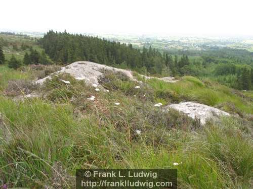 Around Slieve Dargan